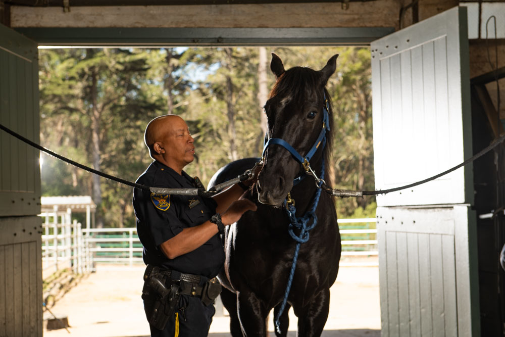 Officer taking care of his horse