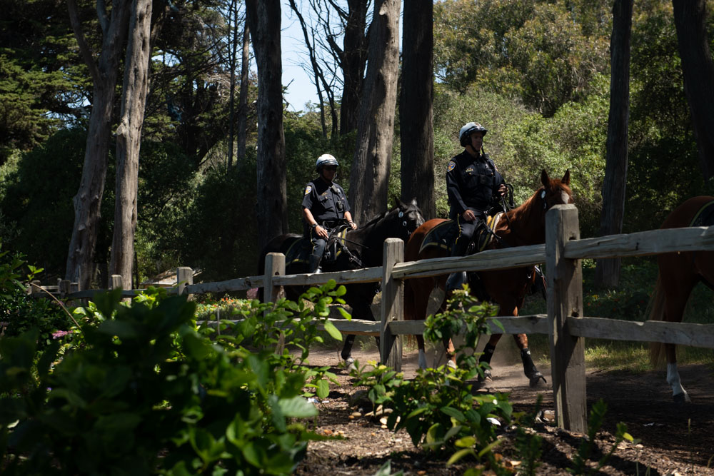 Mounted unit riding on a trail