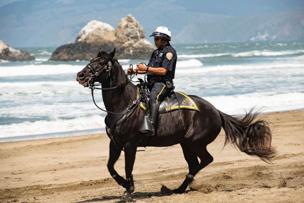 Mounted unit riding horse on beach