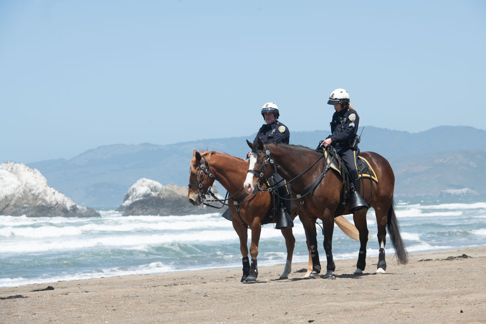 Officer on horse on the beach