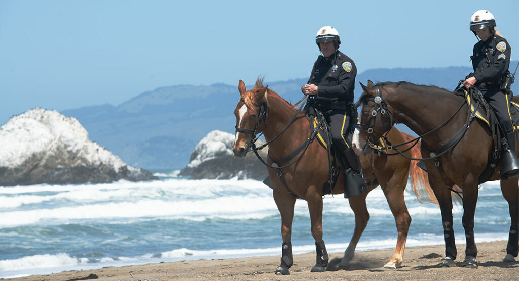 Mounted officers on the beach